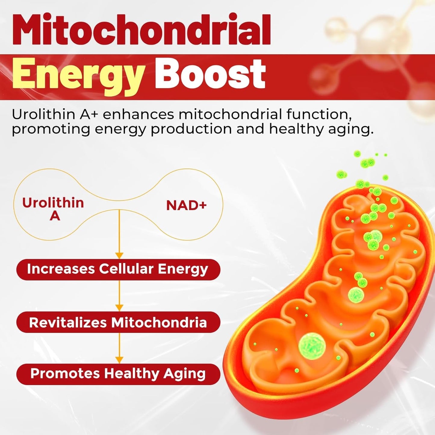 Anti Aging Urolithin A Gummies for Vitality Boost