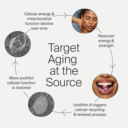 Powerful Anti Aging Gummies for Energy & Wellness
