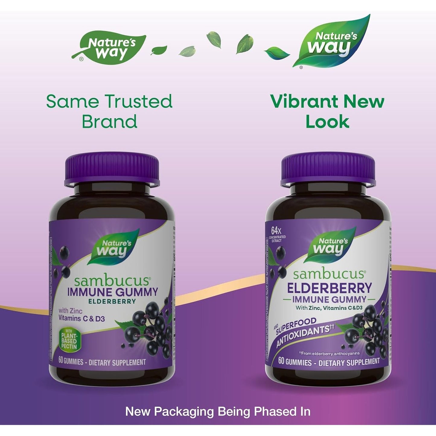 Elderberry Immune Boost Gummies with Vitamin C & Zinc