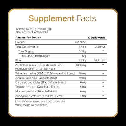 Natural Energy Boost Shilajit Gummies