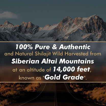 Premium Himalayan Shilajit Resin Supplement 50g