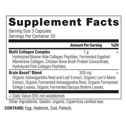 Natural Collagen Brain Support Supplement Capsules