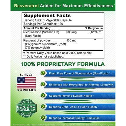 Vitamin B3 Nicotinamide Resveratrol Supplement 120 Caps