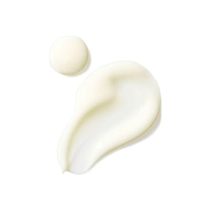Powerful Anti Wrinkle Retinol Face Serum
