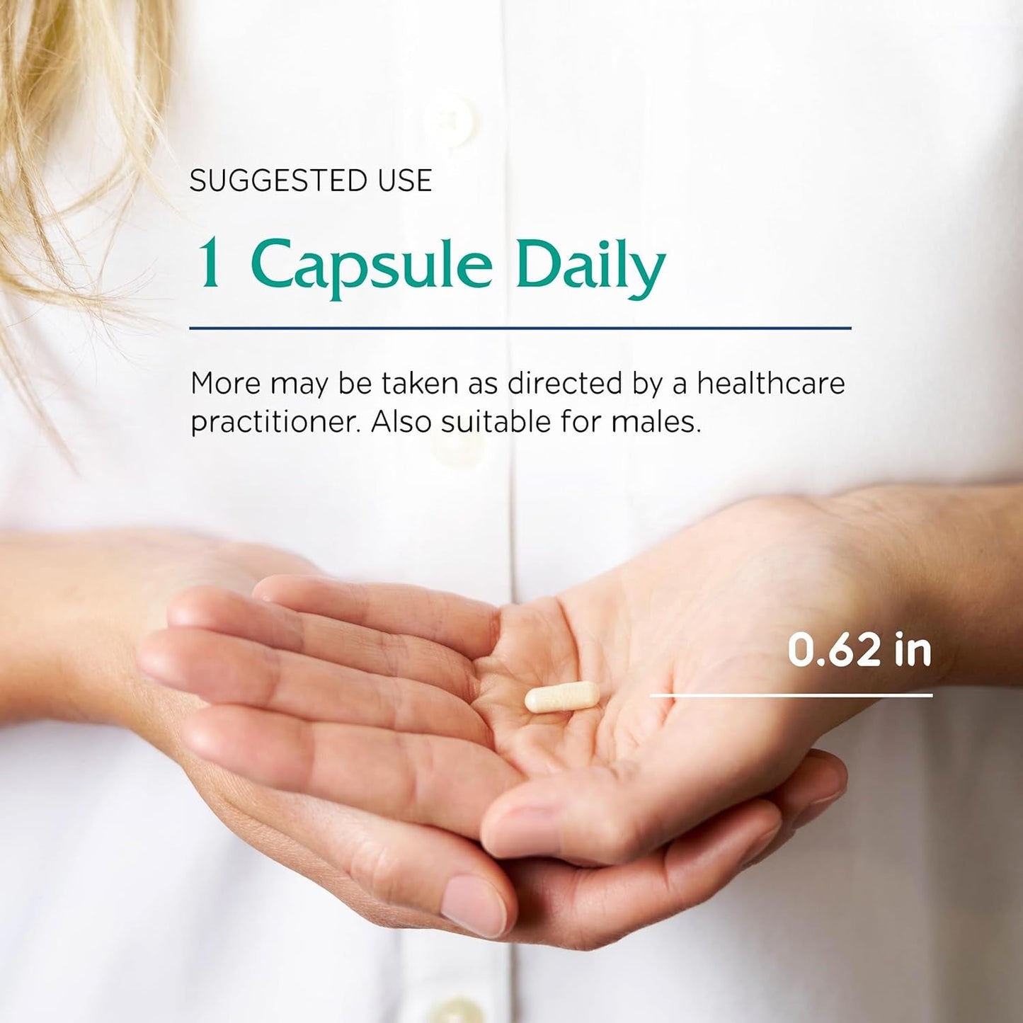 Premium Probiotic Capsules for Gut Health Support
