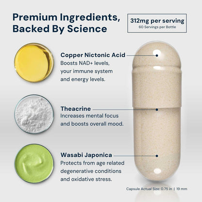 Premium NAD+ Supplement for Energy and Anti Aging