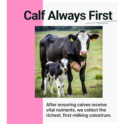 Premium Colostrum Powder for Immune System Boost
