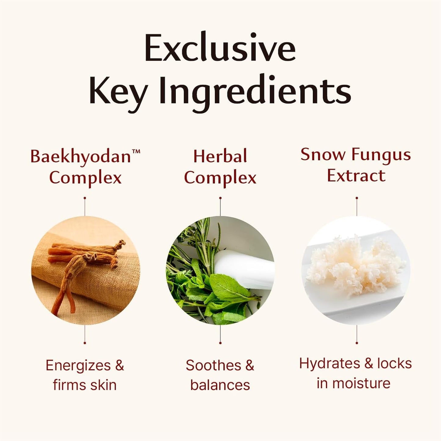 Nourishing Anti Aging Moisturizing Face Cream