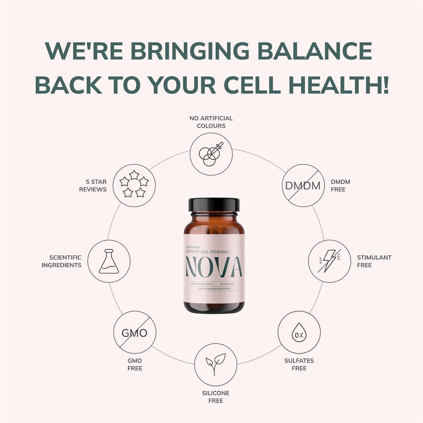 Advanced Cellular Renewal Spermidine Capsules - Anti Aging Support