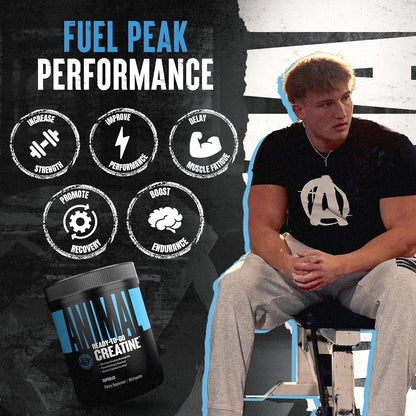 Pure Creatine Monohydrate Pills for Muscle Gain