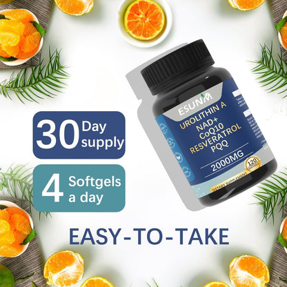 Premium Urolithin A Capsules - Energy Boost and Antioxidant