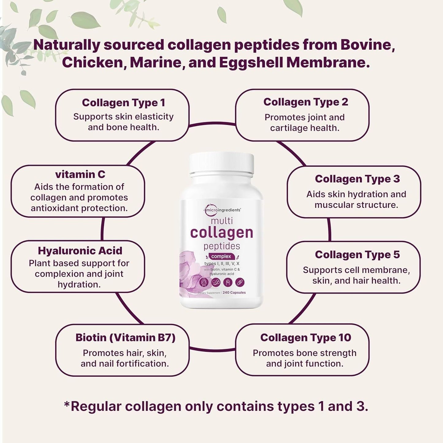 Premium Collagen Peptides Supplement - 240 Capsules