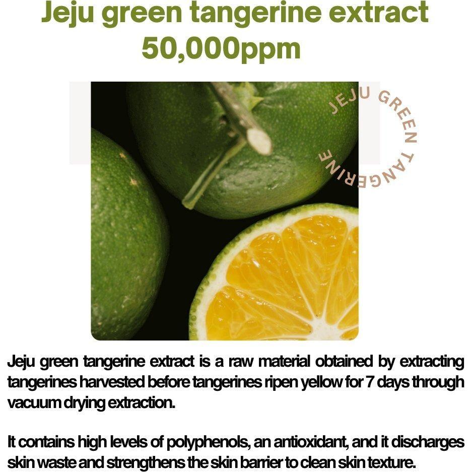 Natural Jeju Green Tea Facial Cleanser Water 500ml