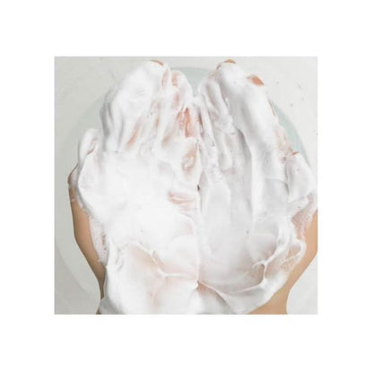 Gentle Facial Cleansing Foam with AHA BHA