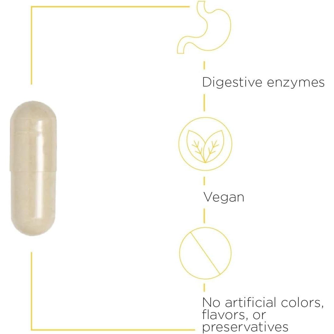 Natural Plant-Based Digestive Enzyme Supplements