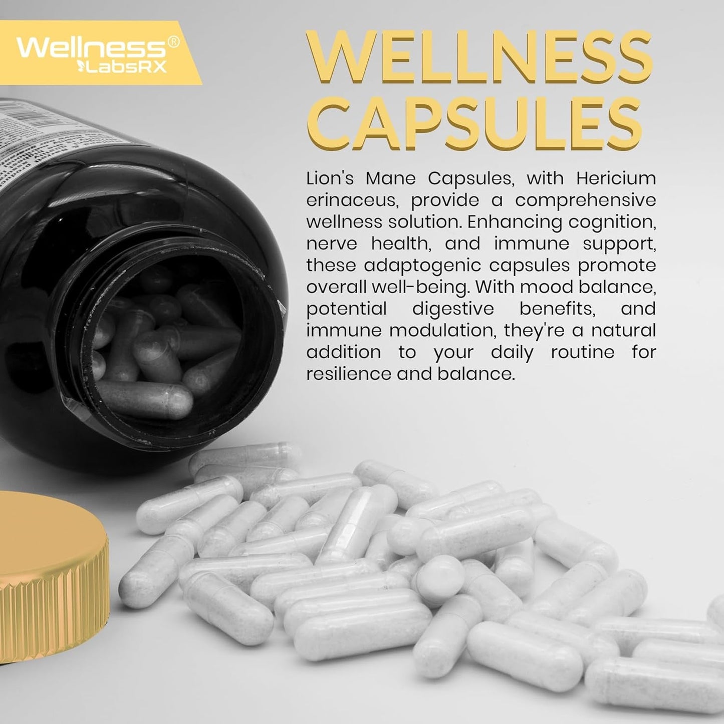 Brain Boost Lion's Mane 1500MG Supplement