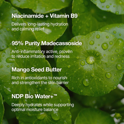 Glowing Skin Vitamin B9 Moisturizing Cream