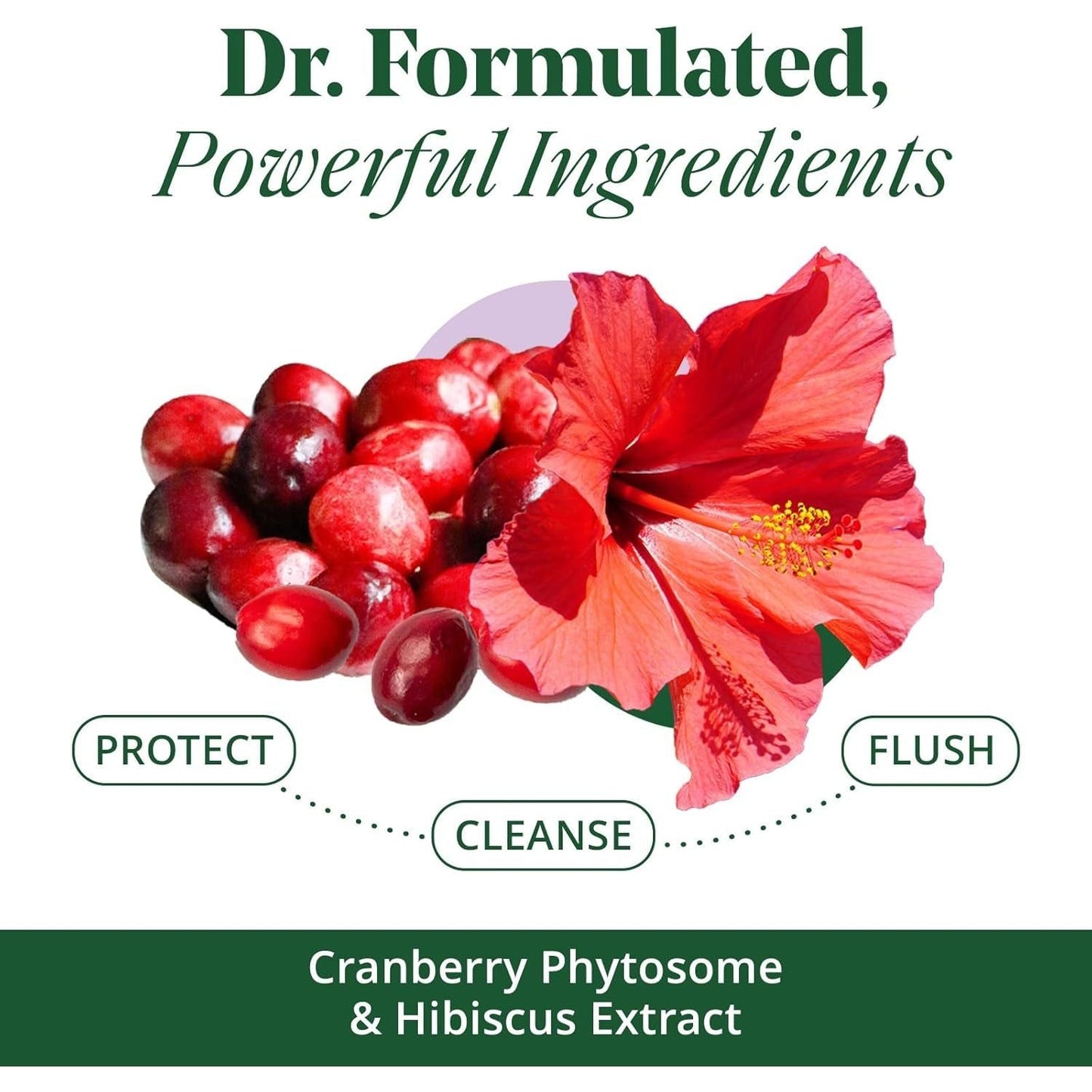 Natural UTI Relief Supplements with Cranberry - 30 Capsules