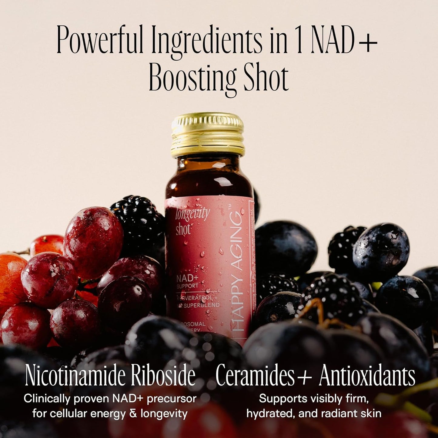 Boosting Energy Brain Support Liquid Supplement 10 Pack