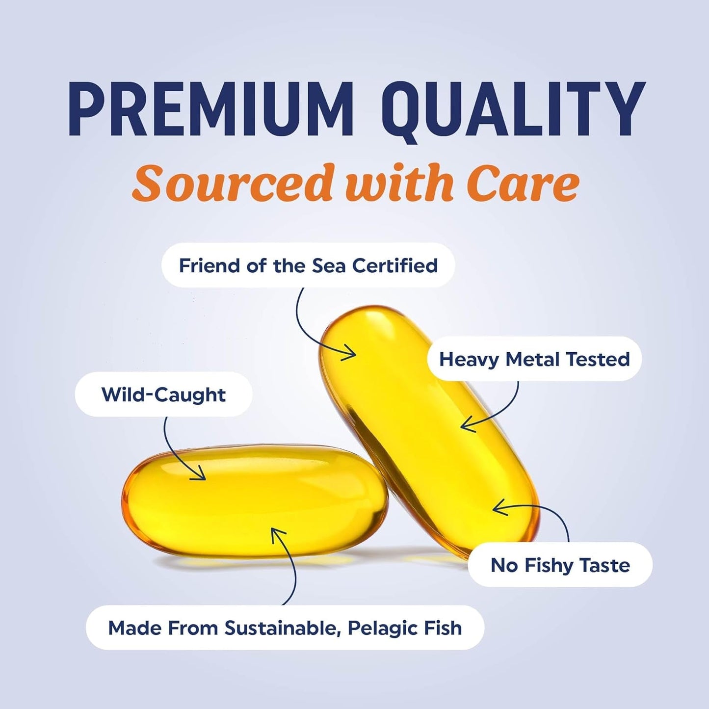 High Potency DHA Omega 3 Fish Oil Supplements
