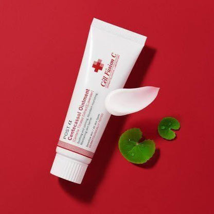 Soothing Cica Cream for Sensitive Skin Care
