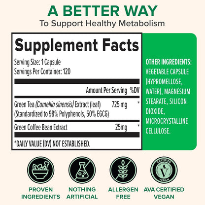 Natural Green Tea Supplement - 120 Capsules Boost Energy
