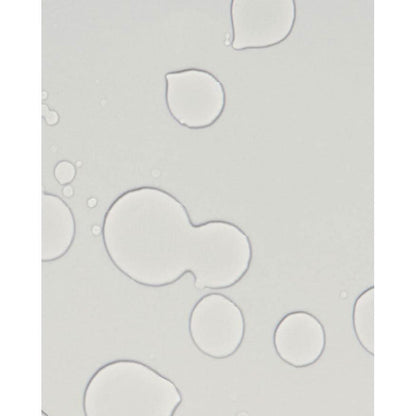 Moisturizing Hair Mist 250ml | Daily Hydrate & Nourish