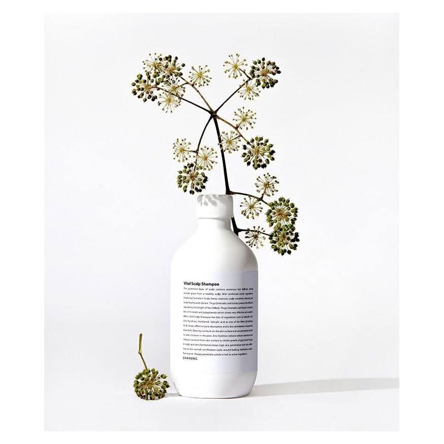 Nourishing Scalp Care Shampoo 500ml