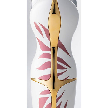 Advanced Anti Aging Skin Care Device Kit