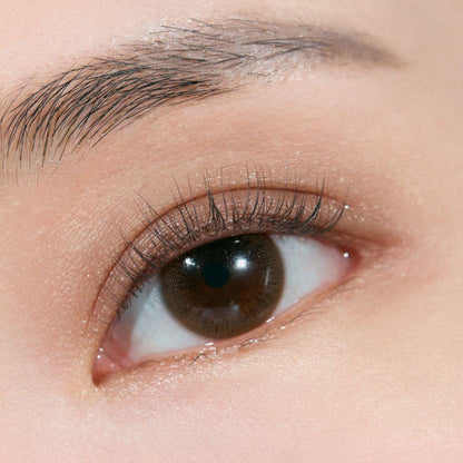 Natural Eyeshadow Palette with Contour & Highlight