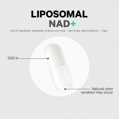 Premium Liposomal NAD+ Capsules 500mg