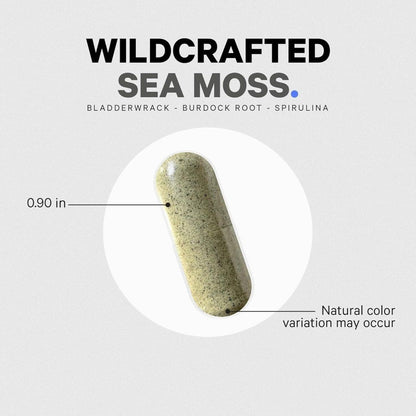 Natural Sea Moss Supplement with Vitamins and Minerals