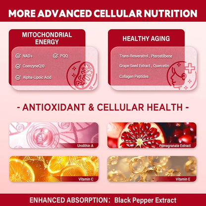 Powerful Anti Aging Liposomal Urolithin A Liquid Drops