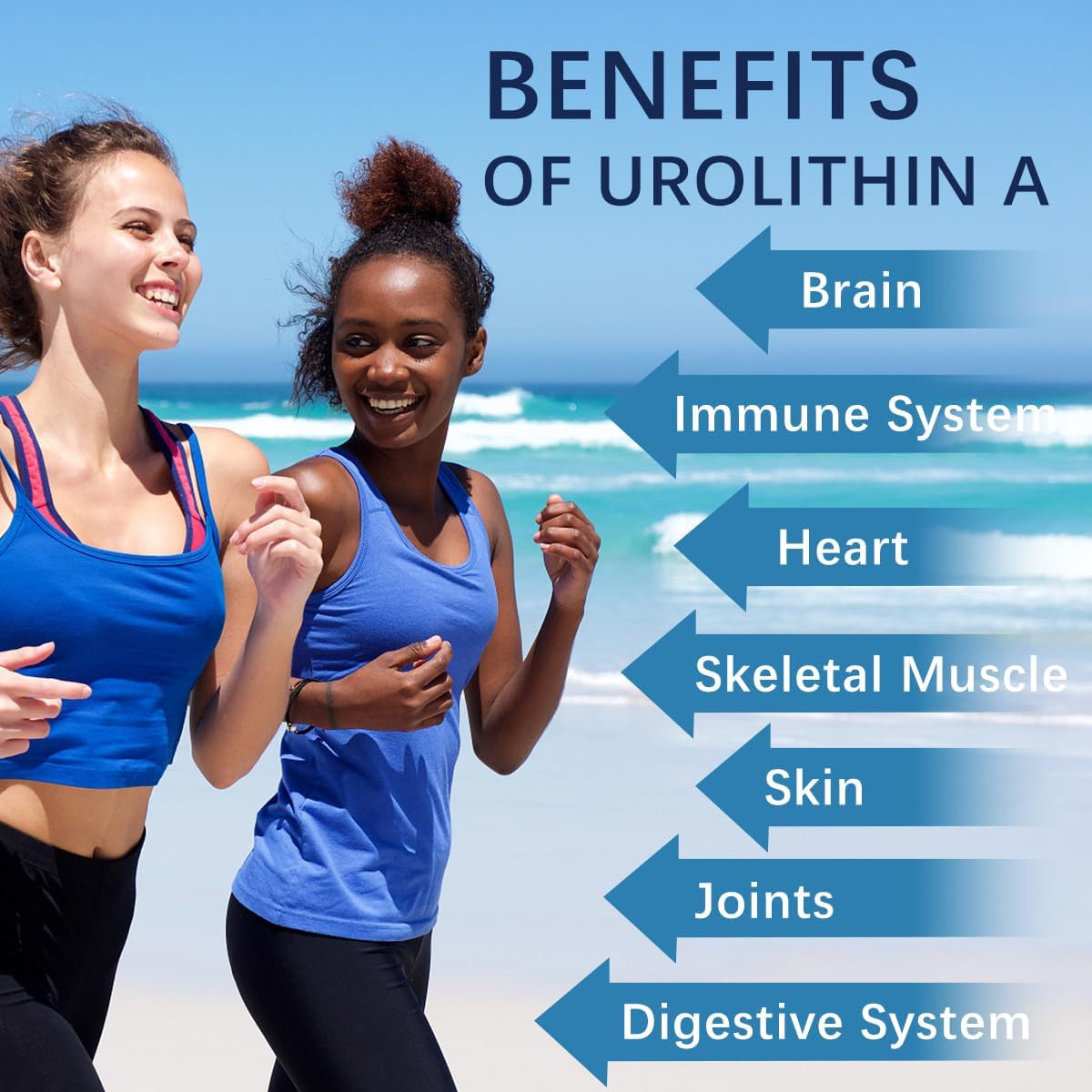 Premium Urolithin A Capsules - Energy Boost and Antioxidant