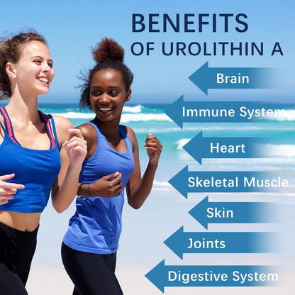 Premium Urolithin A Capsules - Energy Boost and Antioxidant