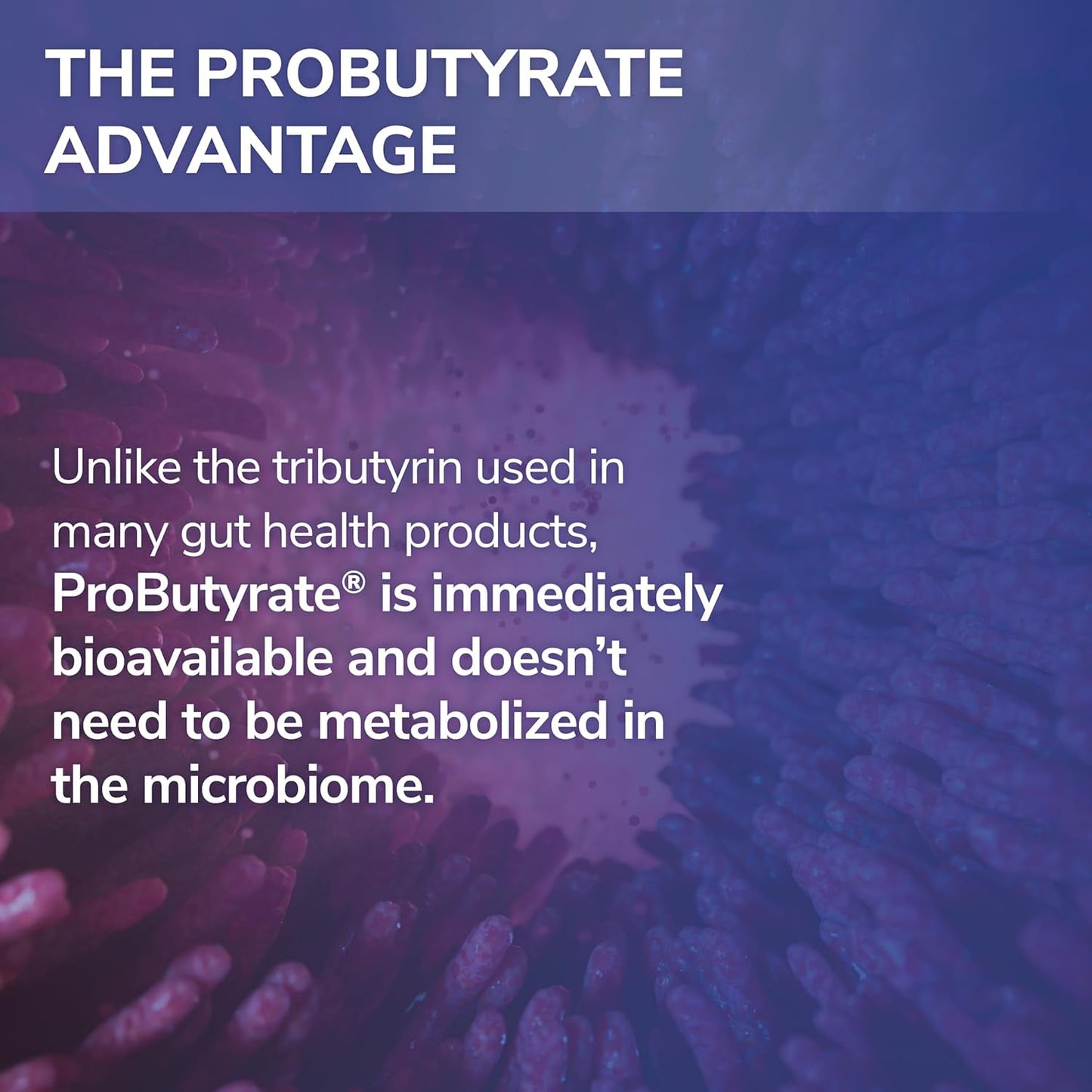 Pro Gut Health Supplement - 120 Capsules Butyric Acid