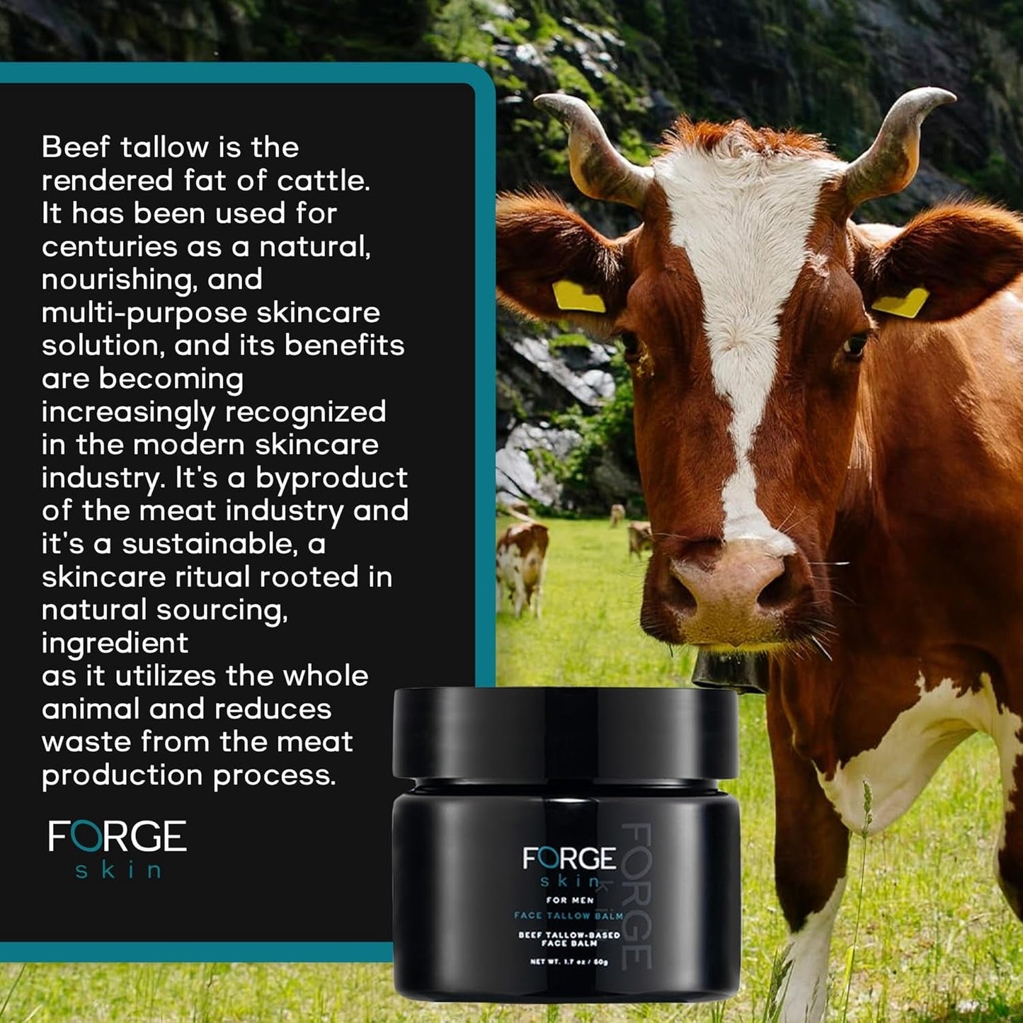 Natural Face Moisturizer for Men - Hydrating Anti Aging Cream
