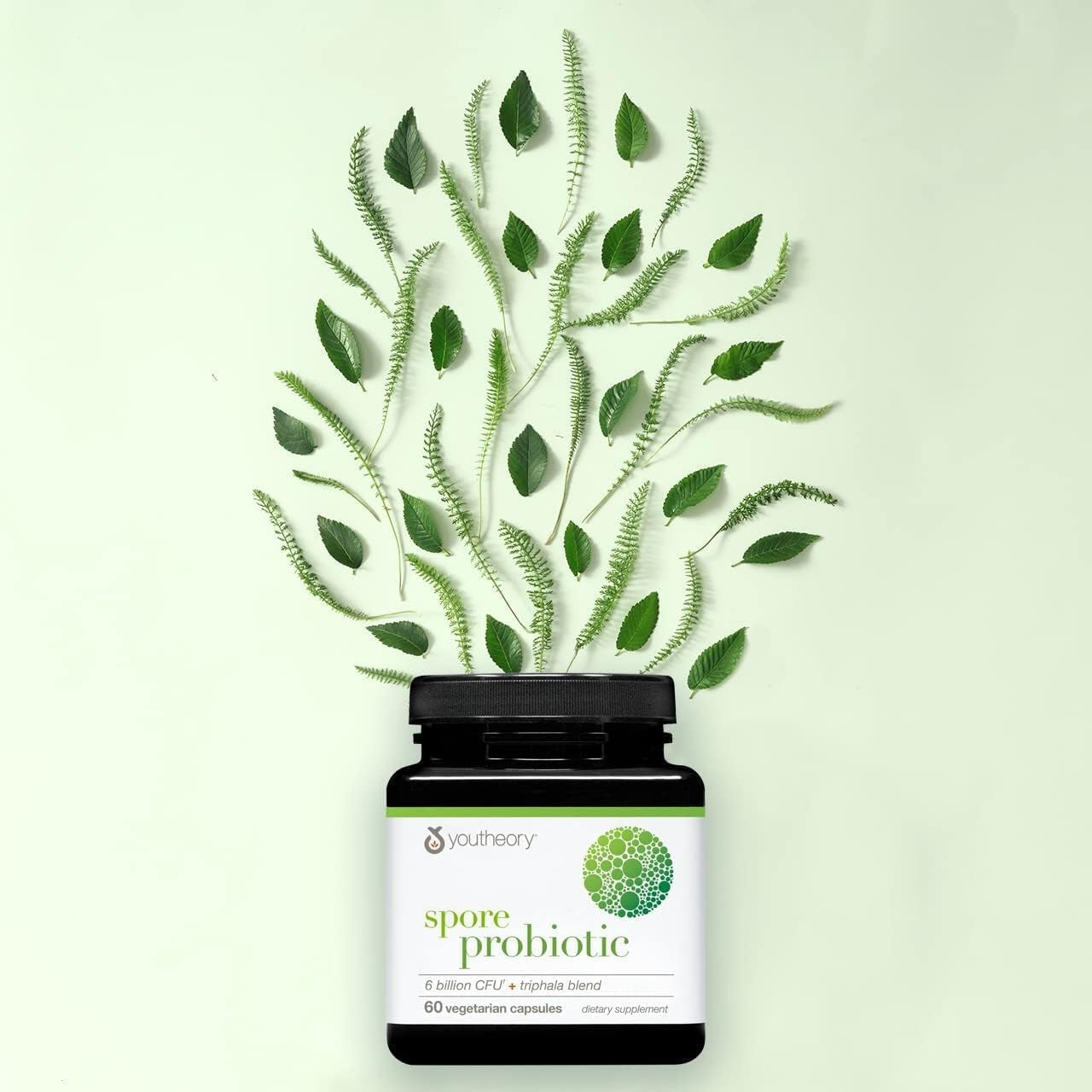 Probiotic Supplement - 60 Capsules, 6 Billion CFU for Gut Health