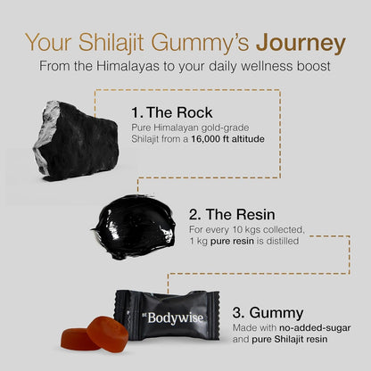 Natural Energy Boost Shilajit Gummies