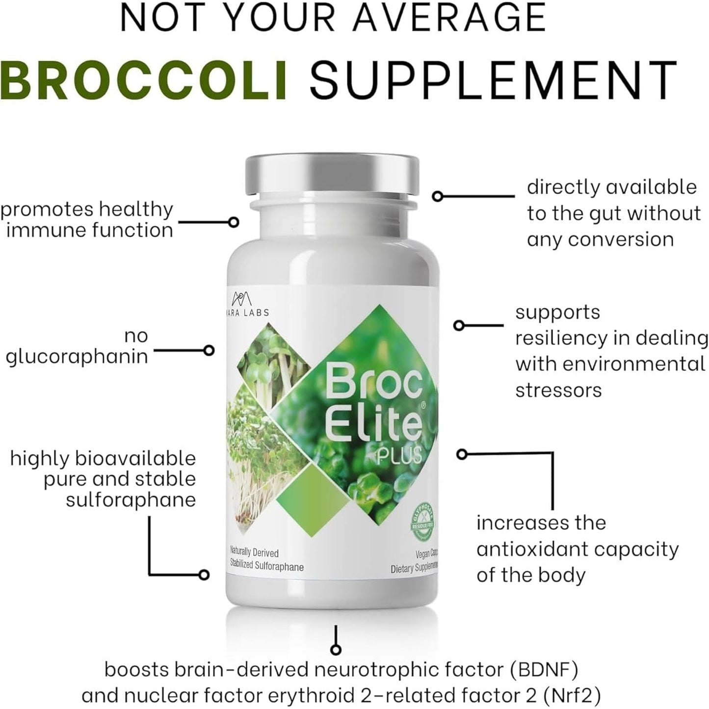 Premium Immune Boost Supplement 60 Capsules