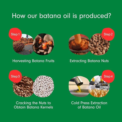 Natural Cold Pressed Hair Growth Oil for Strong Hair