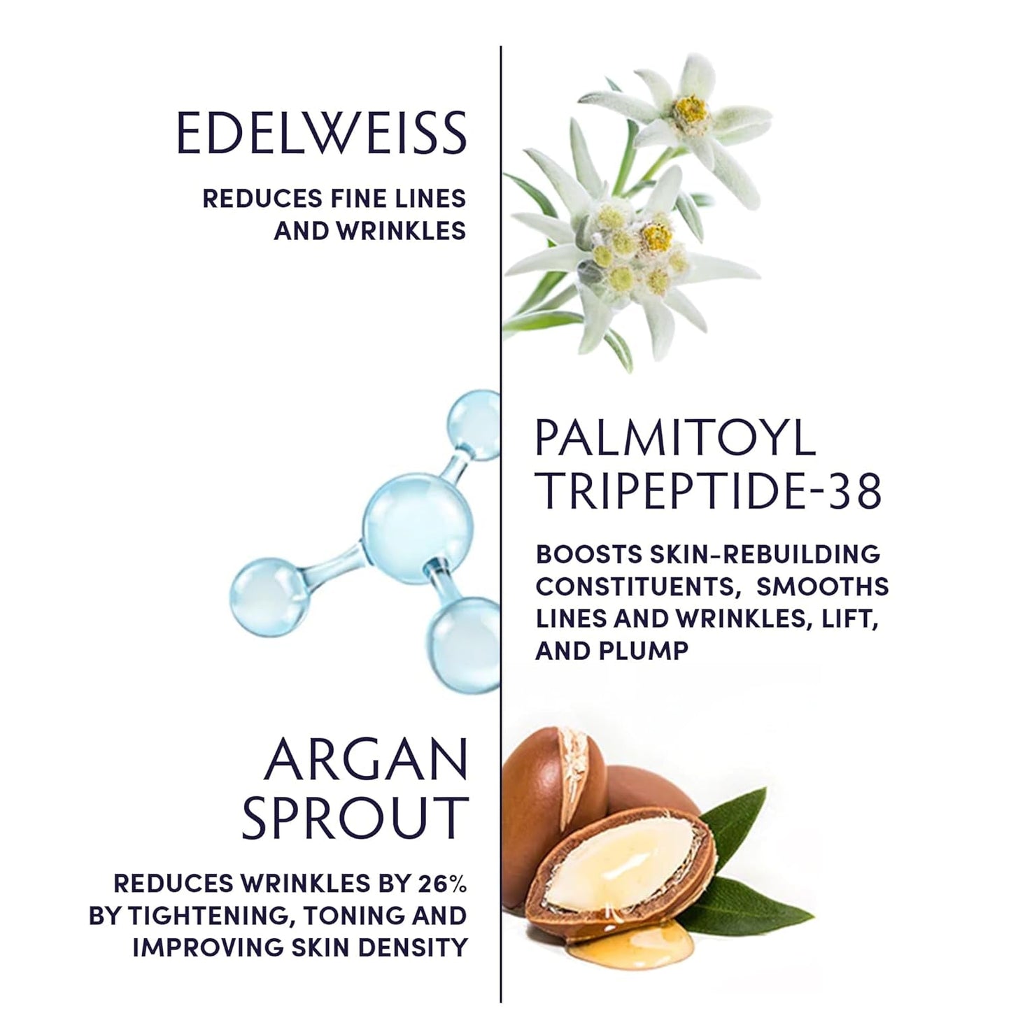 Rich Hydrating Anti Aging Face Cream