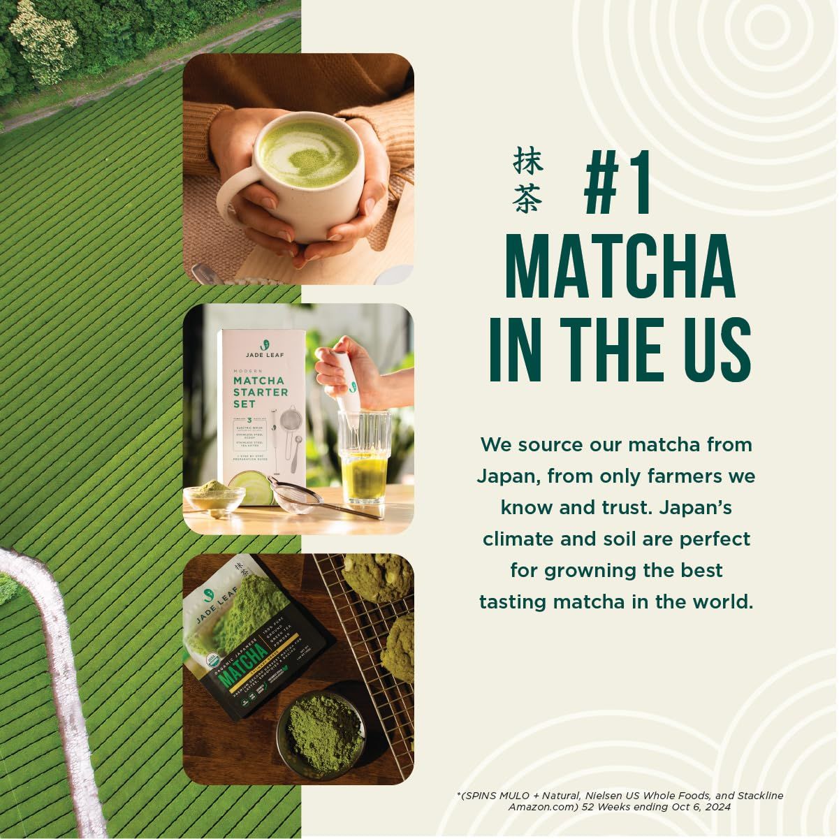 Green Tea Matcha Powder 100g - Natural Energy Boost