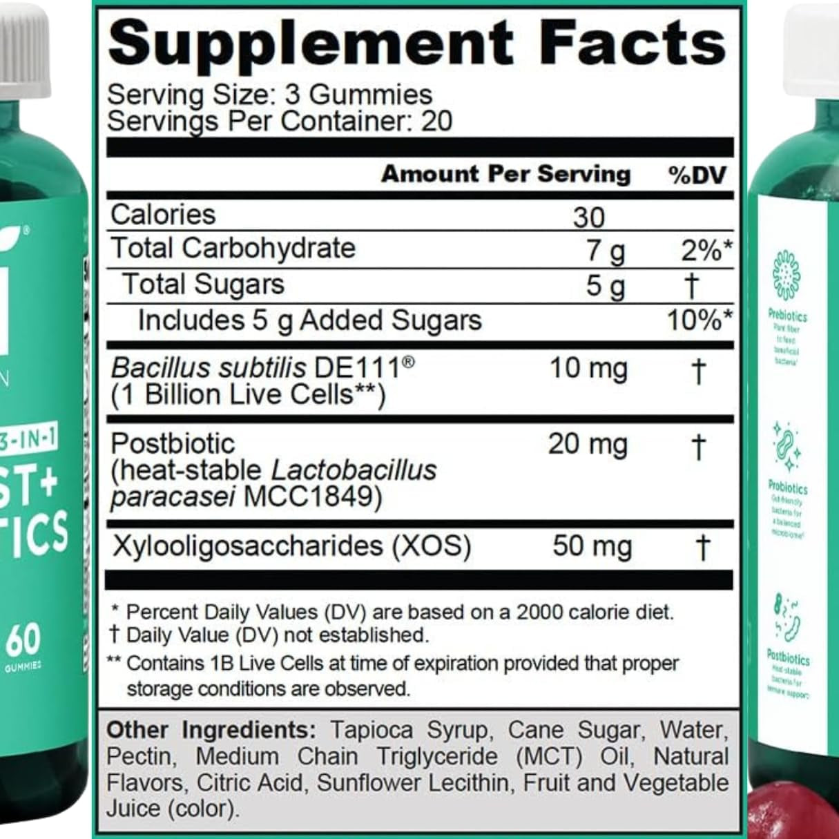 Vegan Probiotic Gummies for Gut Health Support