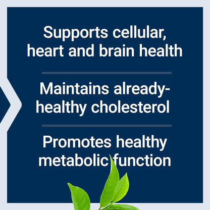 Powerful Decaf Green Tea Supplement - 100 Capsules