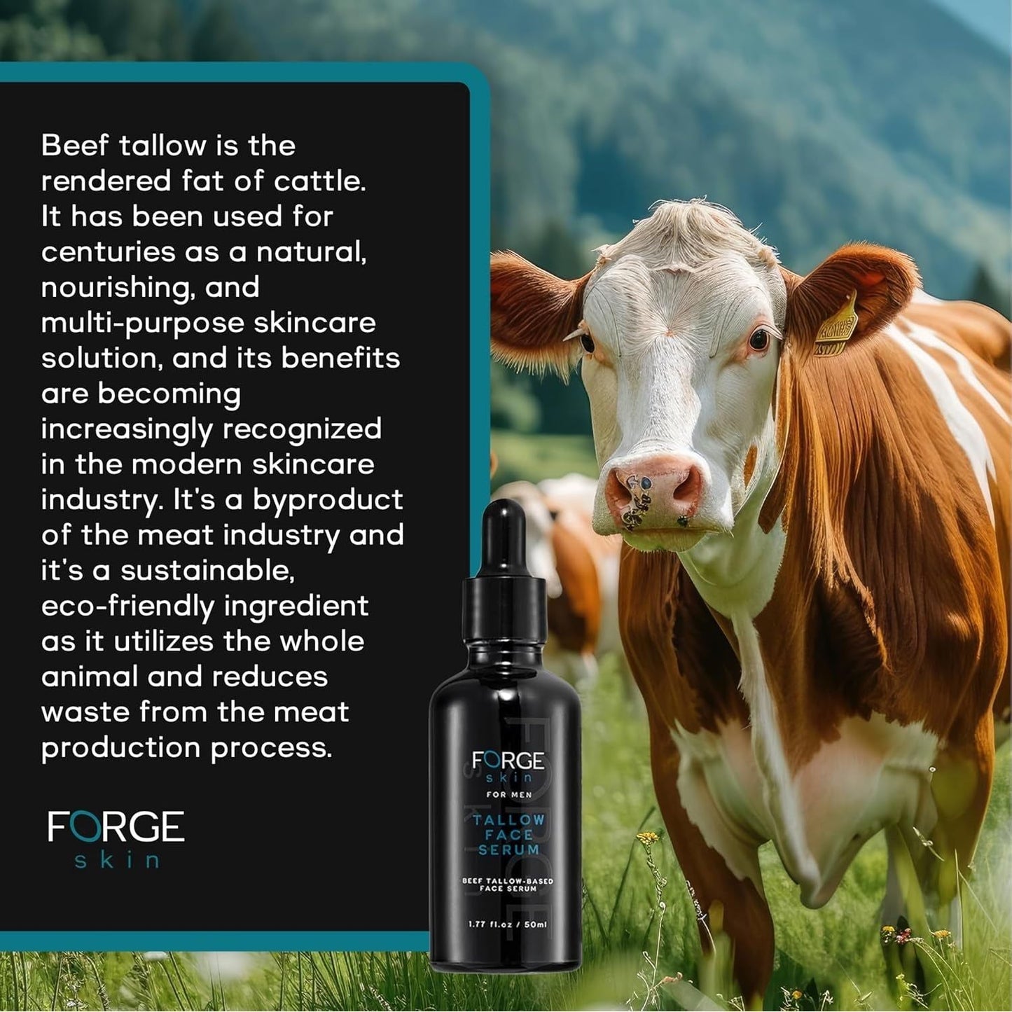 Natural Anti Aging Face Serum for Men 50ml