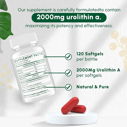 Premium Cellular Health Softgels 2000mg High Absorption Supplement