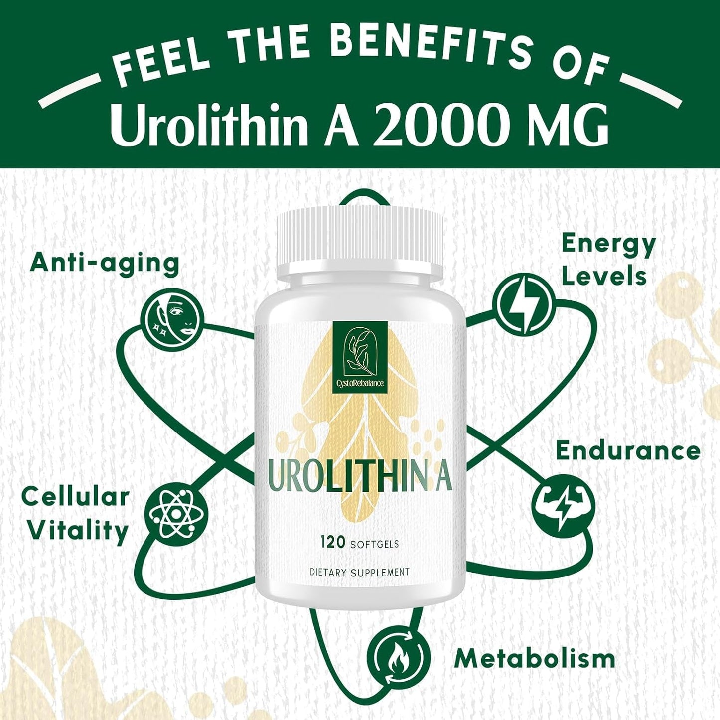 Premium Cellular Health Softgels 2000mg High Absorption Supplement