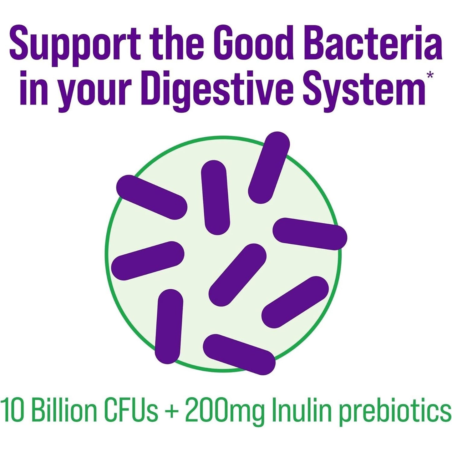 Effective Daily Probiotic Capsules for Healthy Digestion