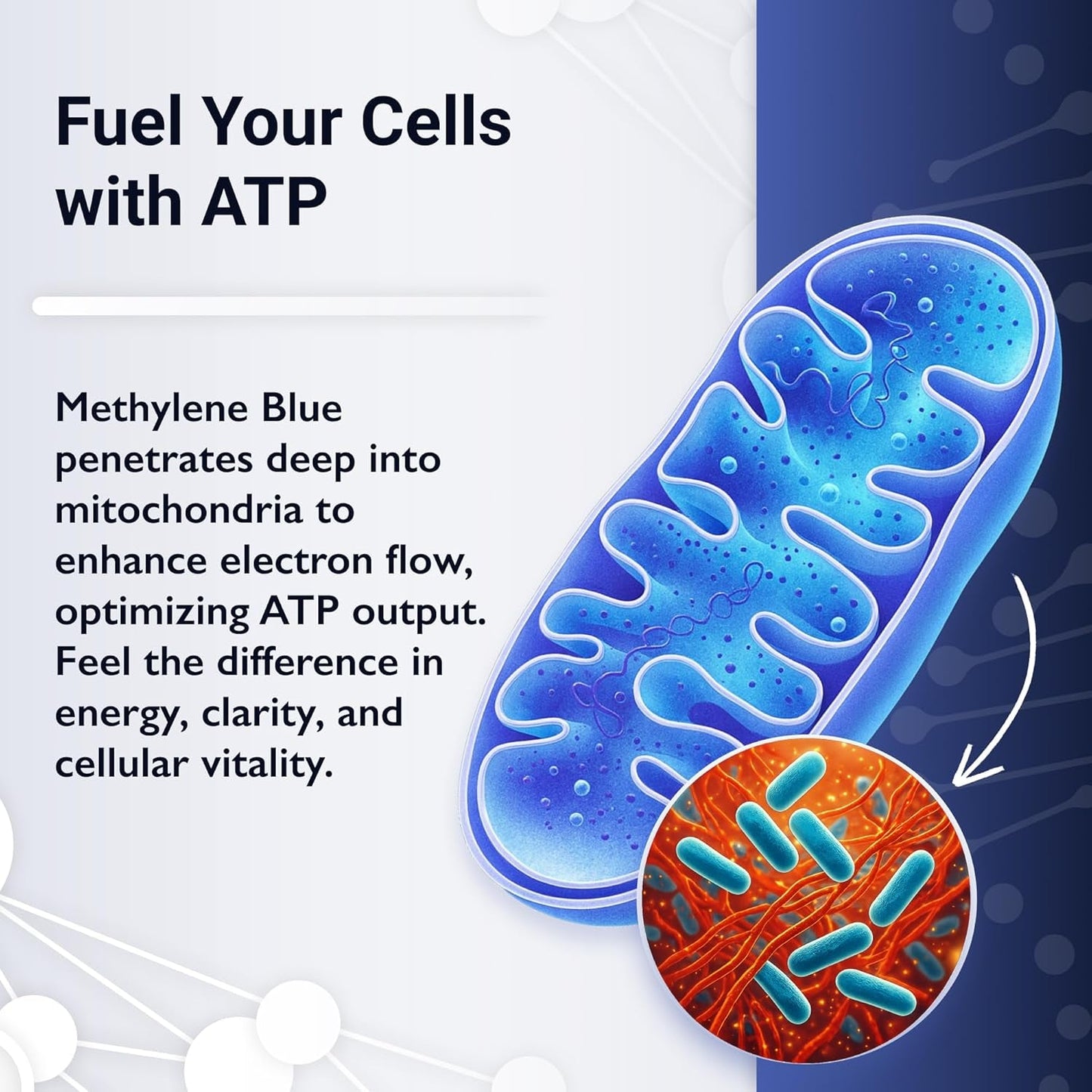 Powerful Methylene Blue Supplement 1% 100ml Energy Boost